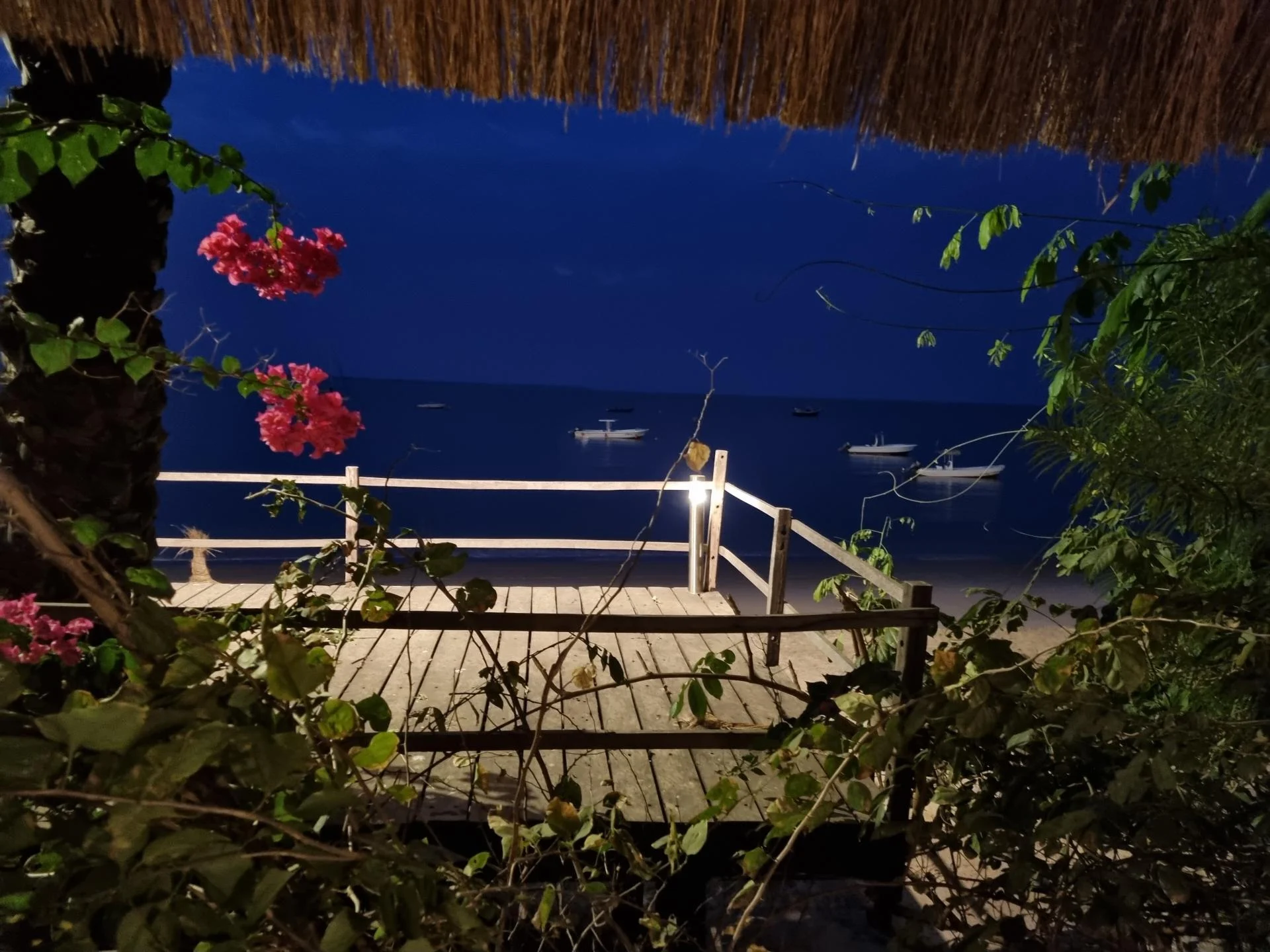 Ecolodge 4 etoiles magic bijagos 12 